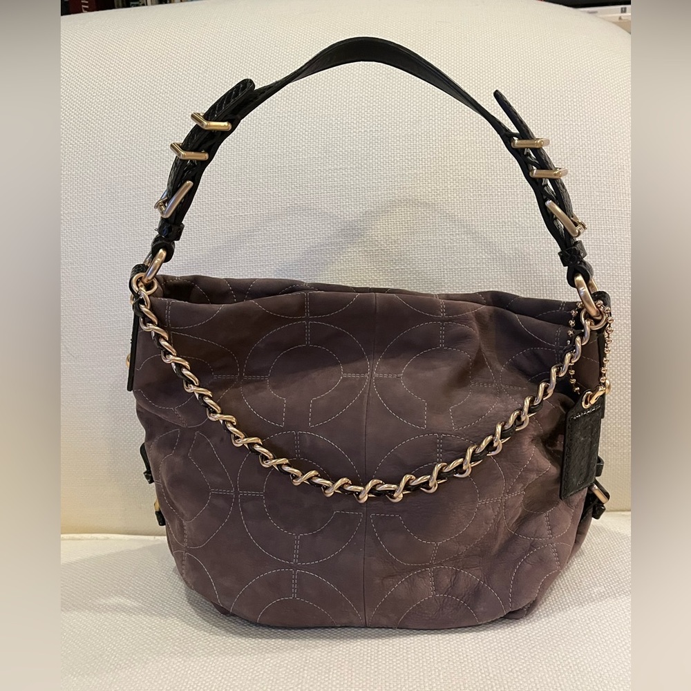 Gray embossed Coach hobo with lizard strap and chain details.